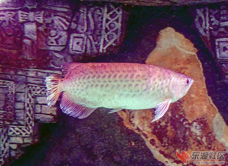 DSC02880_副本.jpg