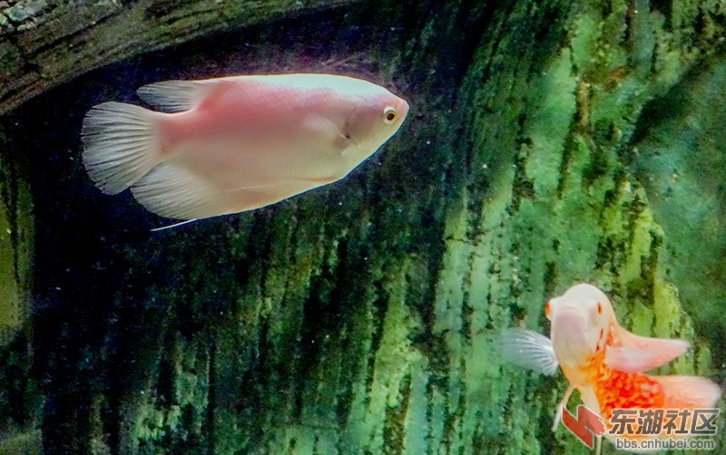 DSC02885_副本.jpg