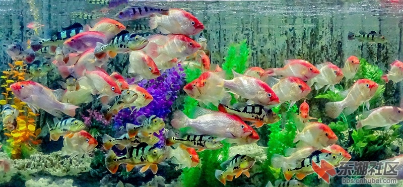 DSC02898_副本.jpg