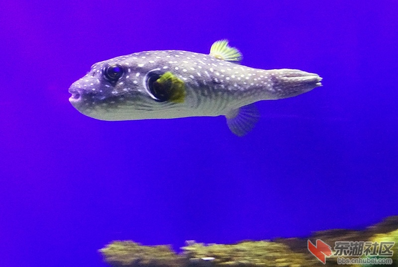 DSC02920_副本.jpg