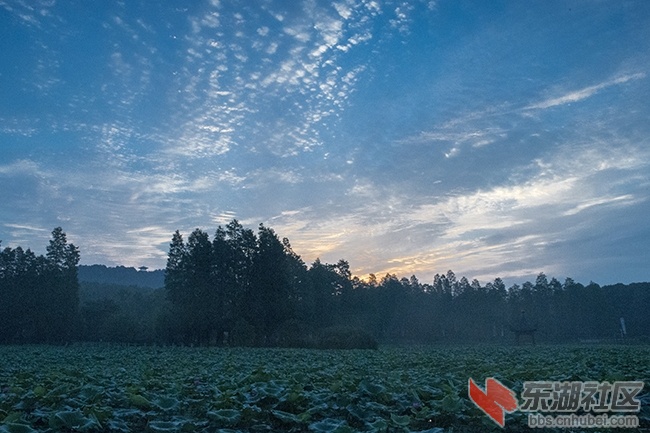 2.东湖晨光曾院平摄影
