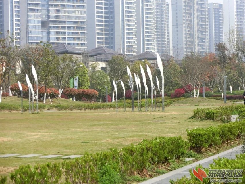 CIMG0889.jpg