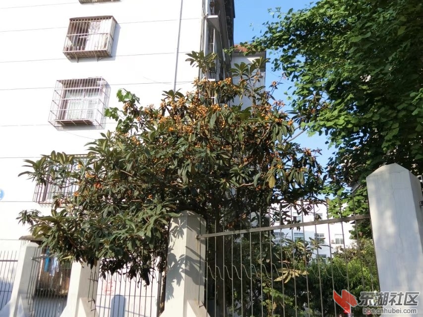 CIMG6579.jpg
