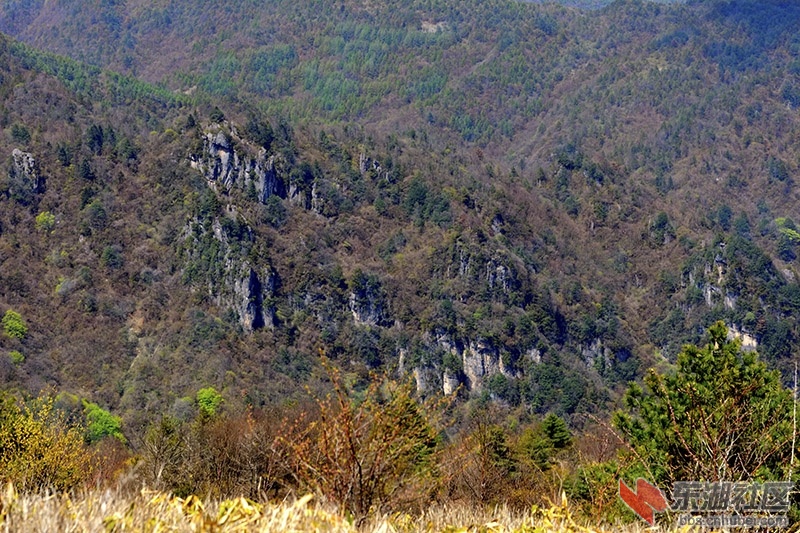 QYM_3899.jpg
