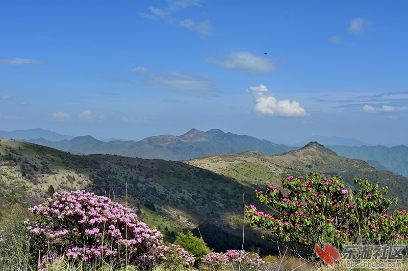QYM_4689.jpg