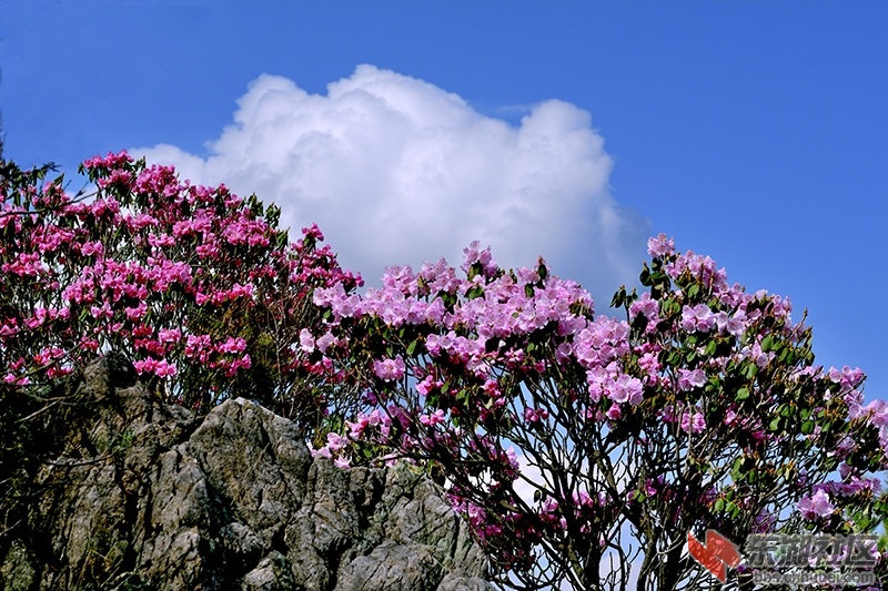 QYM_4713.jpg