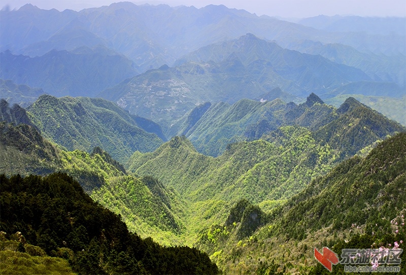 全景图1.jpg