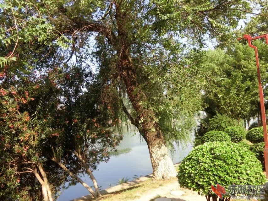 CIMG6729.jpg