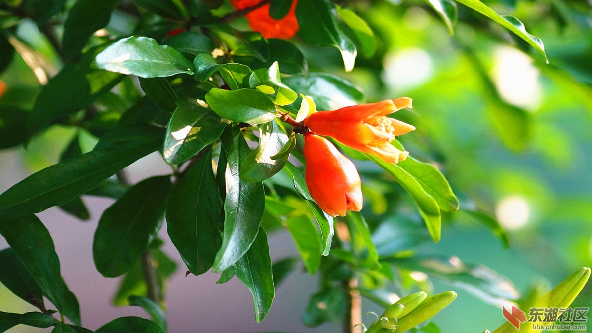 6.DSC01460_副本.jpg