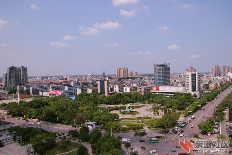 IMG_5981_副本.jpg