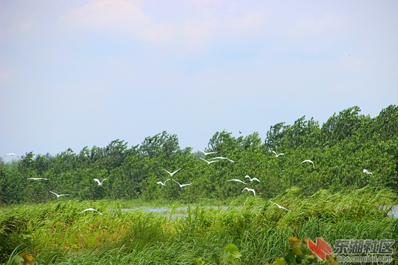 IMG_7281_副本.jpg