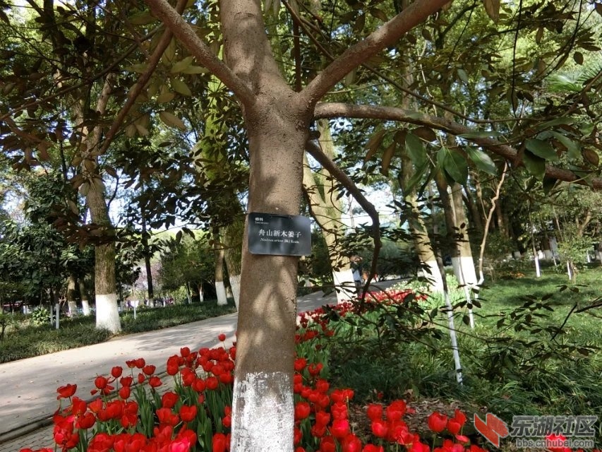 CIMG1368.jpg
