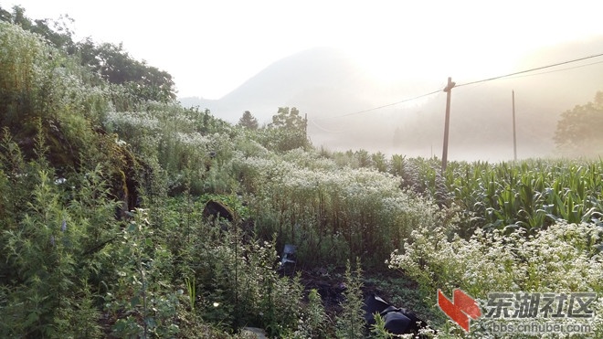 20170710_062949_副本.jpg