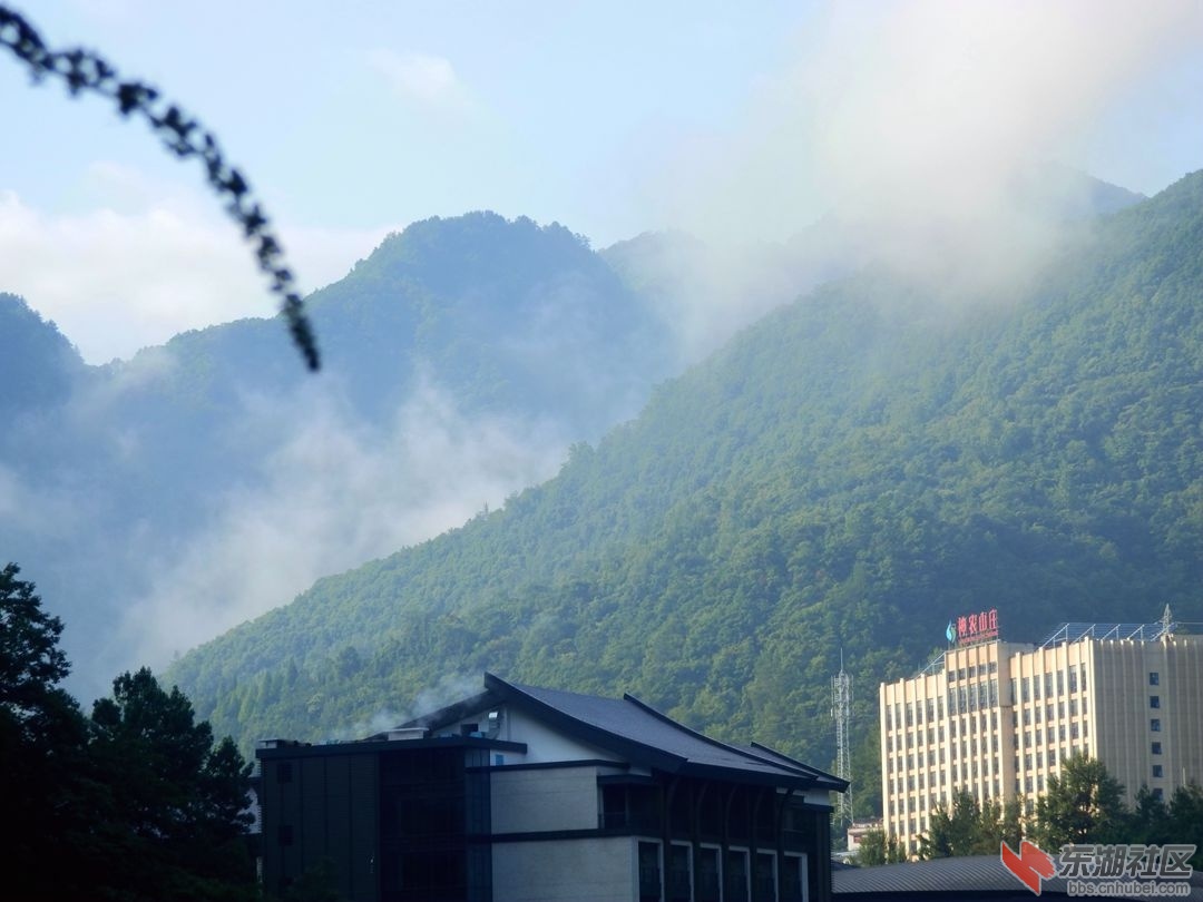 84、山头的晨雾.jpg