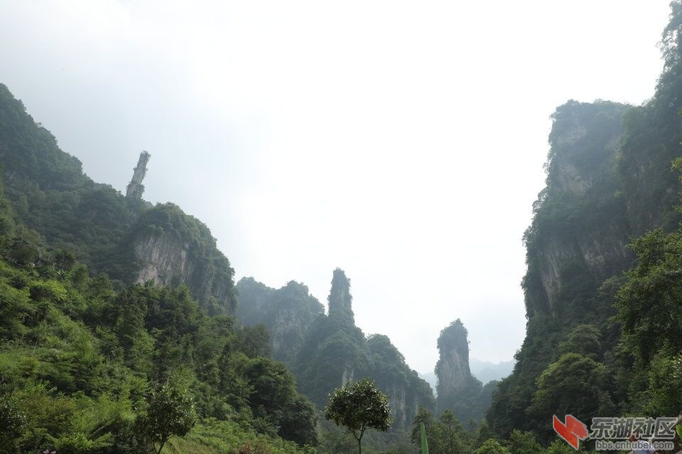 QQ图片20170802164209.jpg