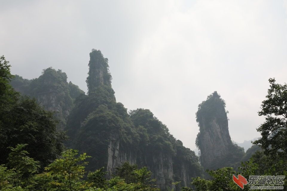 QQ图片20170802164320.jpg