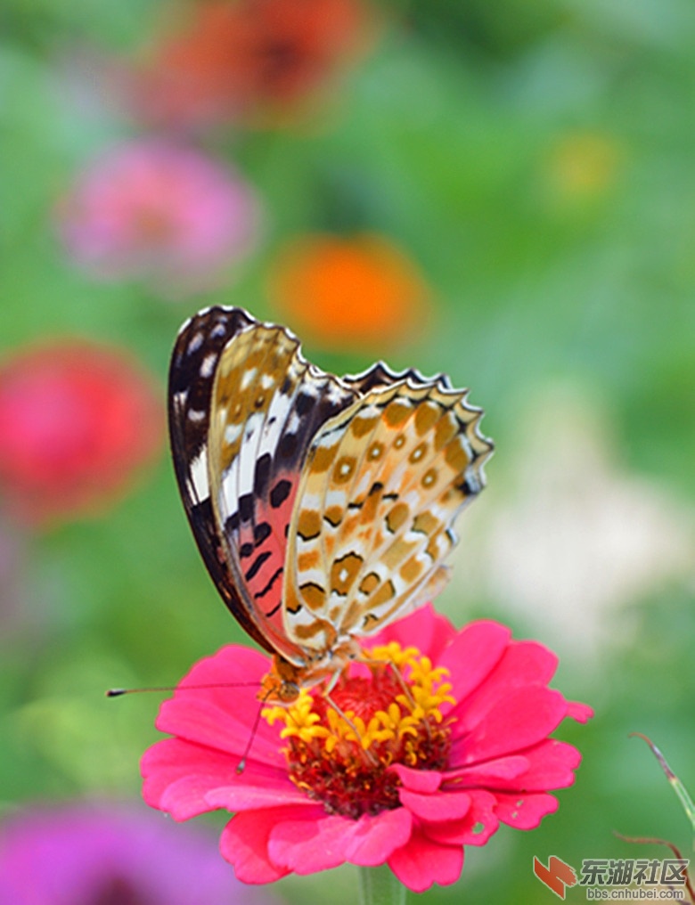 DSC_0022_3.jpg