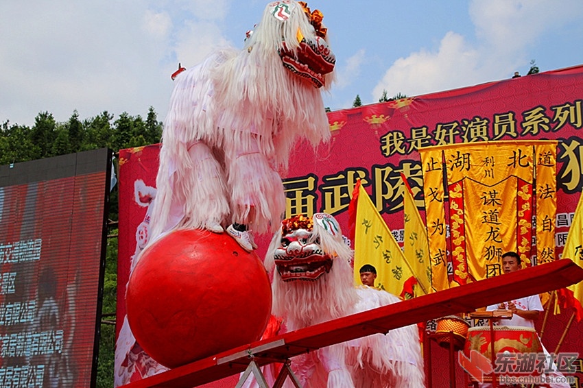 IMG_5687_副本.jpg