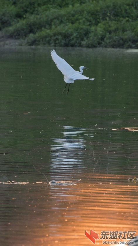 DSC_5522-1.jpg