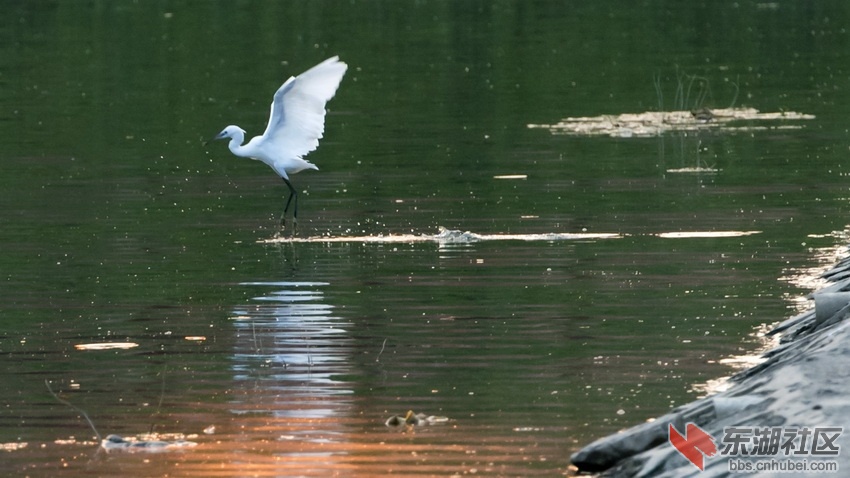 DSC_5520-1.jpg