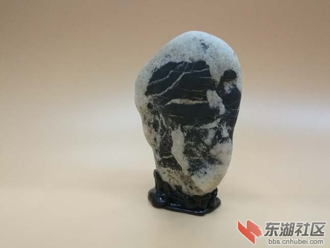 梁上“君子” 梁下人巡.jpg