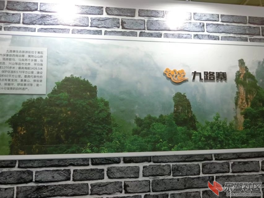 CIMG7915.jpg