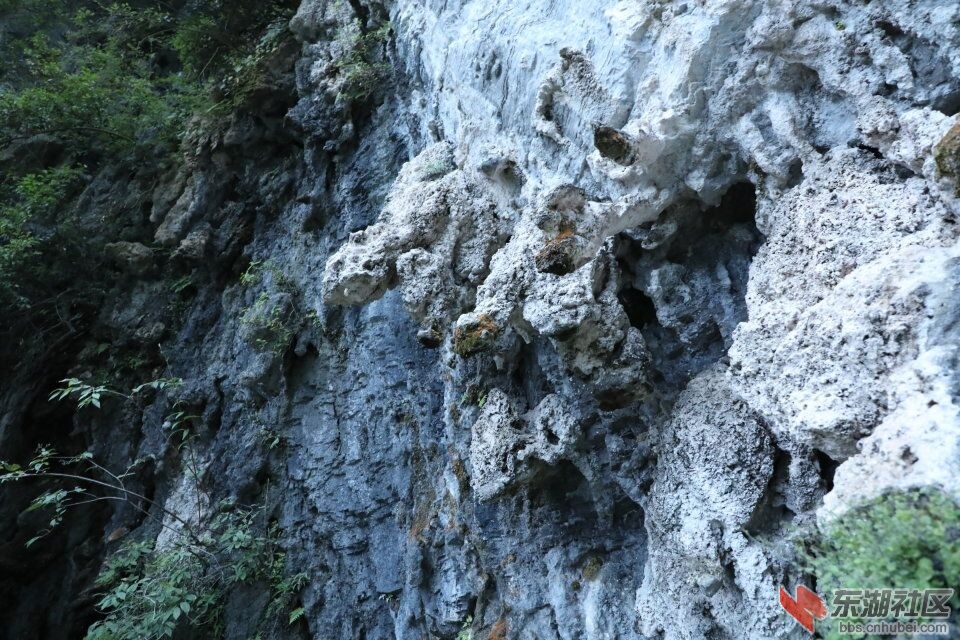 QQ图片20170819210900.jpg