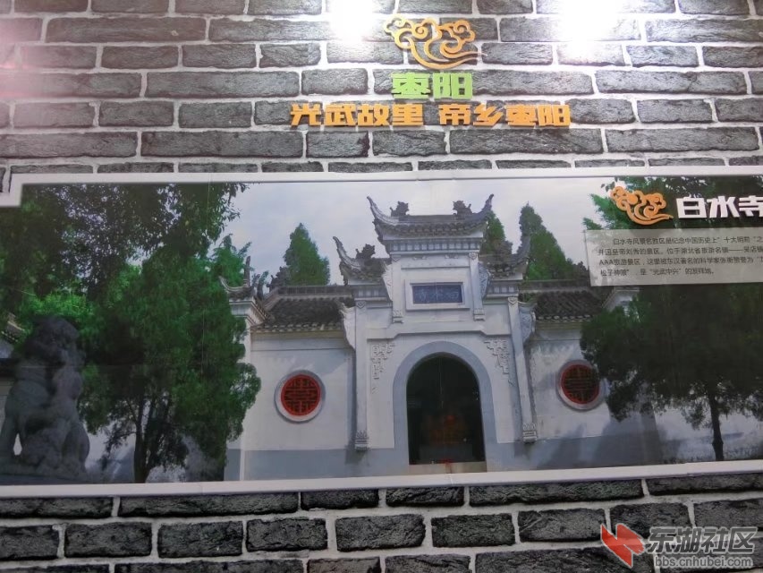 CIMG7953.jpg