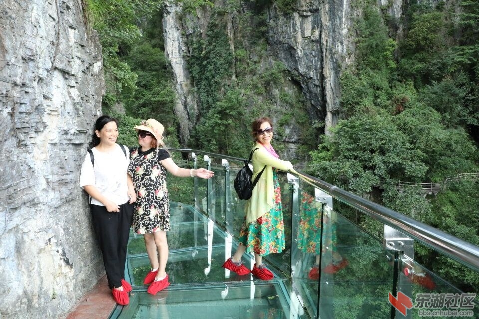 QQ图片20170819210358.jpg