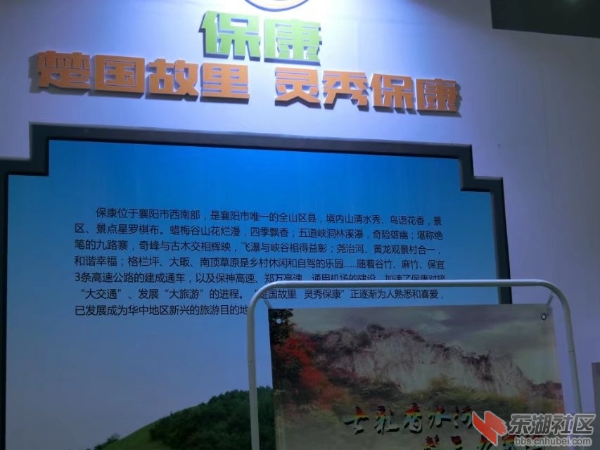 CIMG7968.jpg