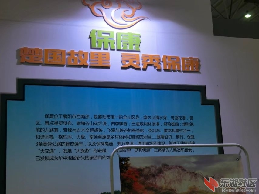CIMG7969.jpg