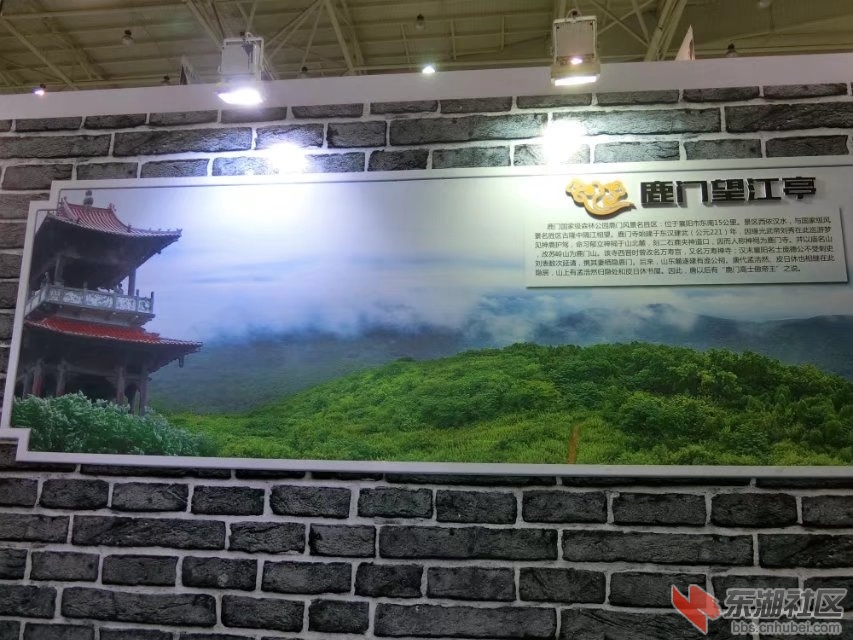 CIMG7974.jpg