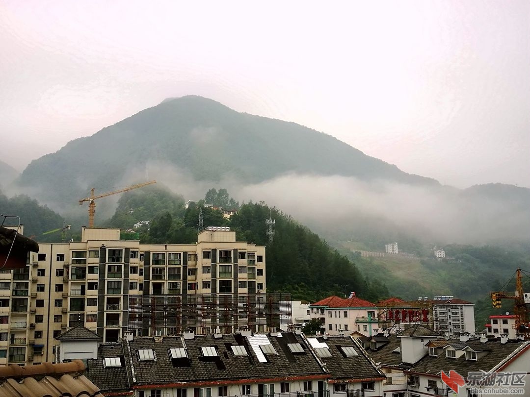 247、昨晚又下雨啦.jpg