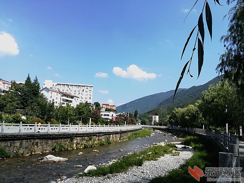 IMG_20170827_143347.jpg