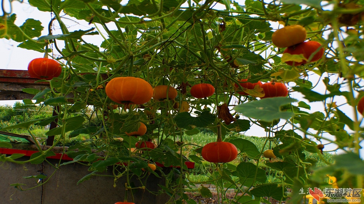 10.DSC03128_副本_副本.jpg