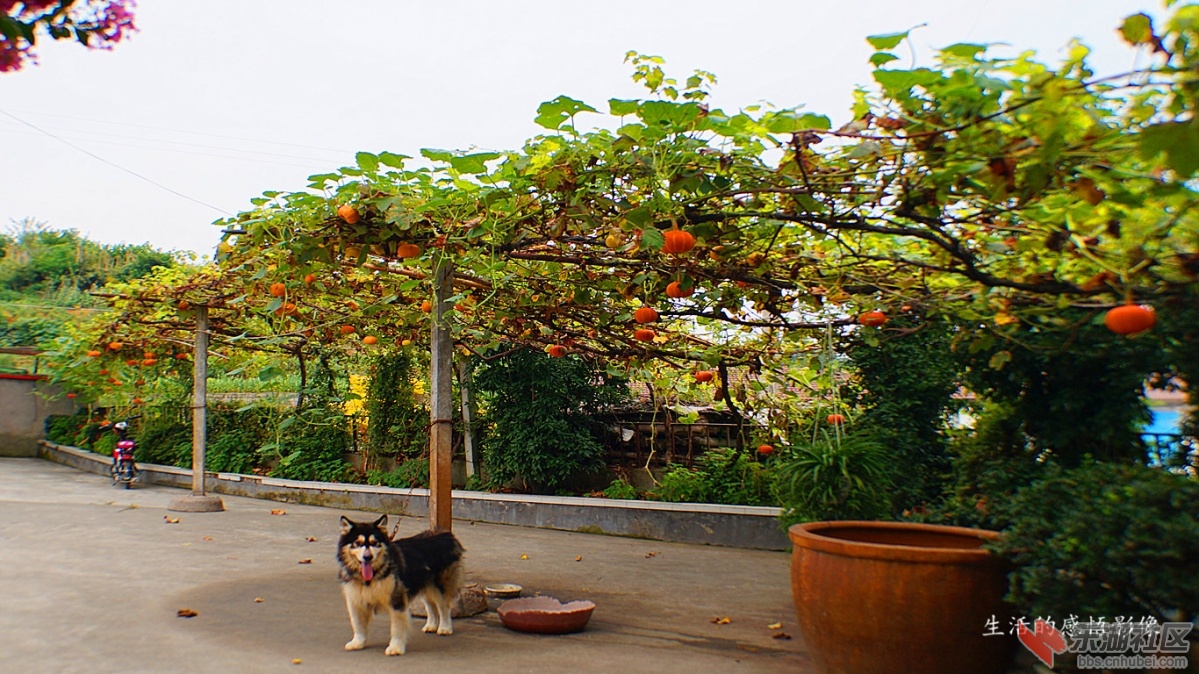 12.DSC03126_副本_副本.jpg