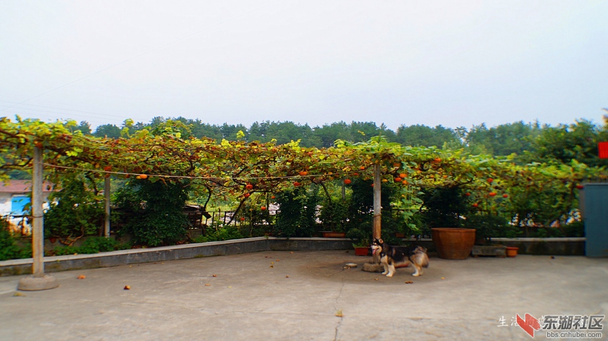 13.DSC03124_副本_副本.jpg
