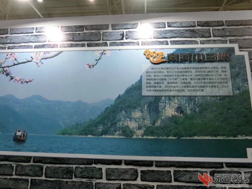 CIMG8070.jpg