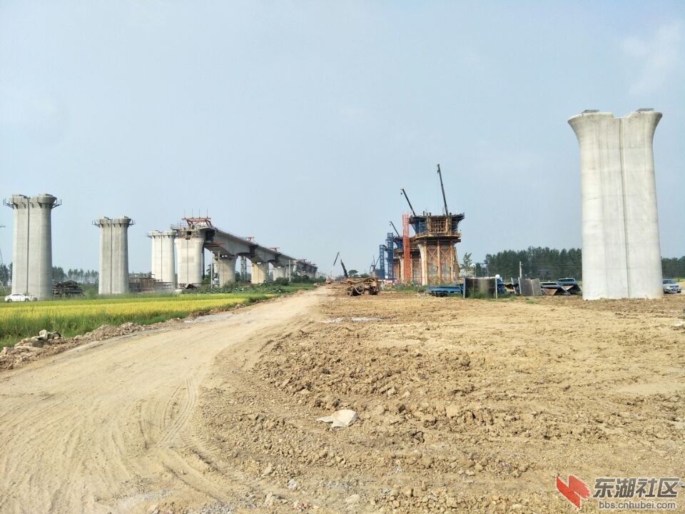 QQ图片20170831000506.jpg