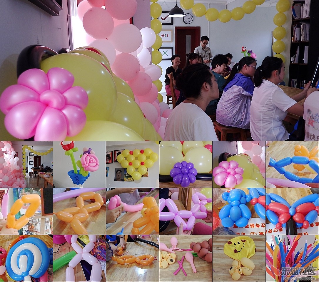 P8253459_conew1.JPG