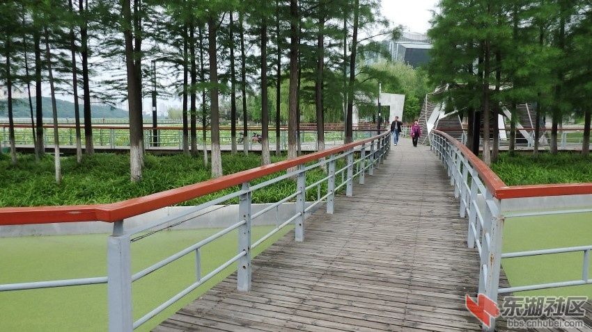 P5280755_conew1.JPG