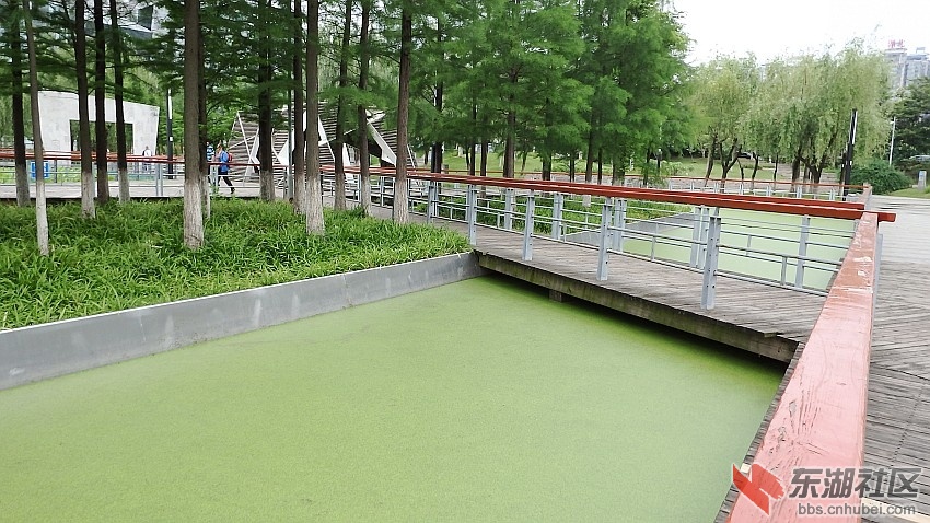P5280756_conew1.JPG