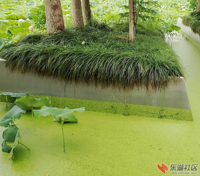 P7242793_conew3.JPG