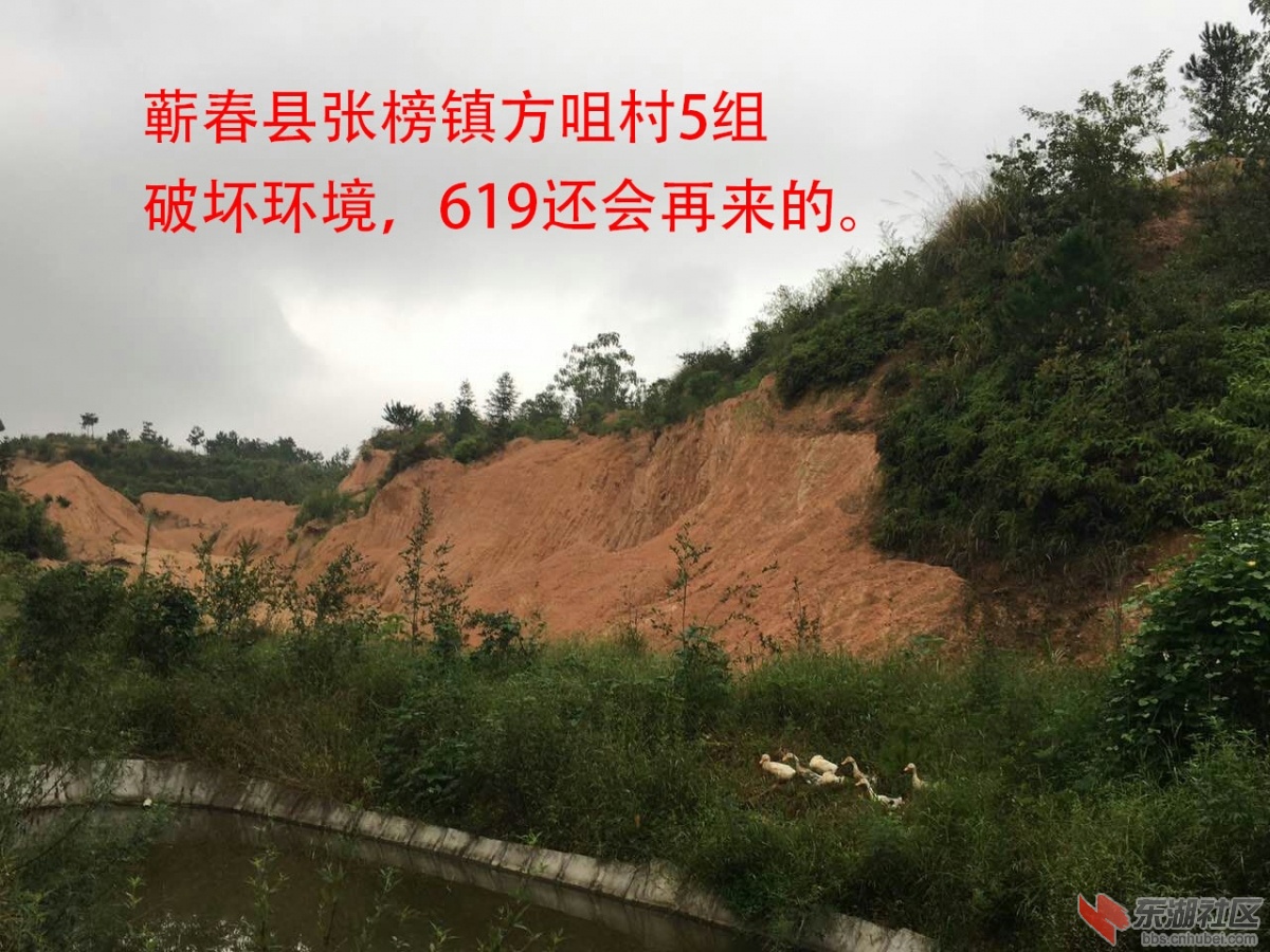 蕲春县张榜镇619AFDGDFGDFKLJL.jpg