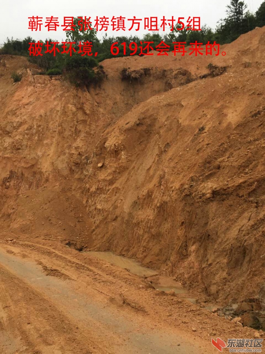 蕲春县张榜镇619AFDSGDFG.jpg