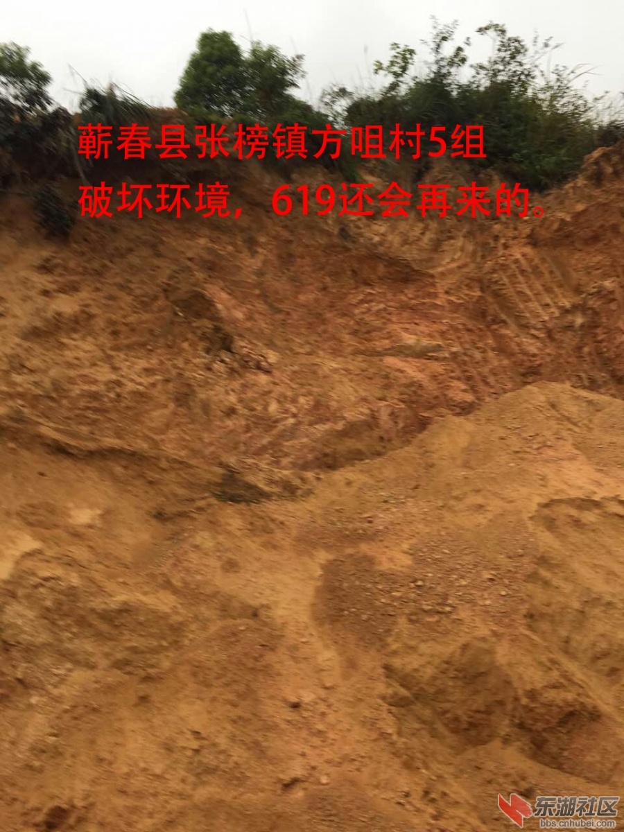 蕲春县张榜镇619ASASA.jpg