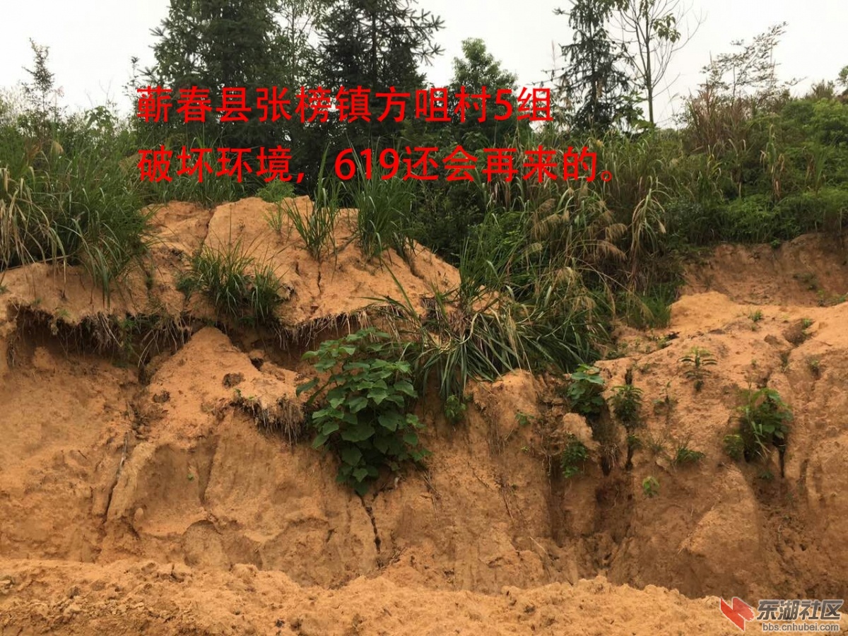 蕲春县张榜镇619ASFGDSGHJJH.jpg