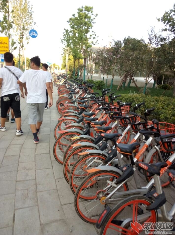 QQ图片20170905201837.jpg