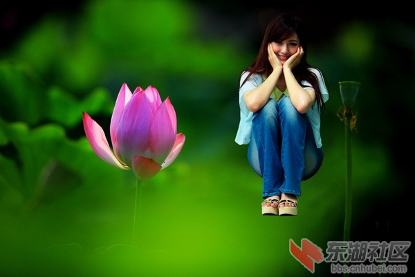 莲花.jpg