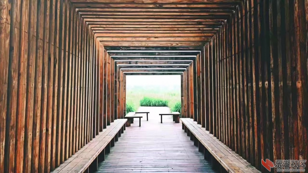92.jpg